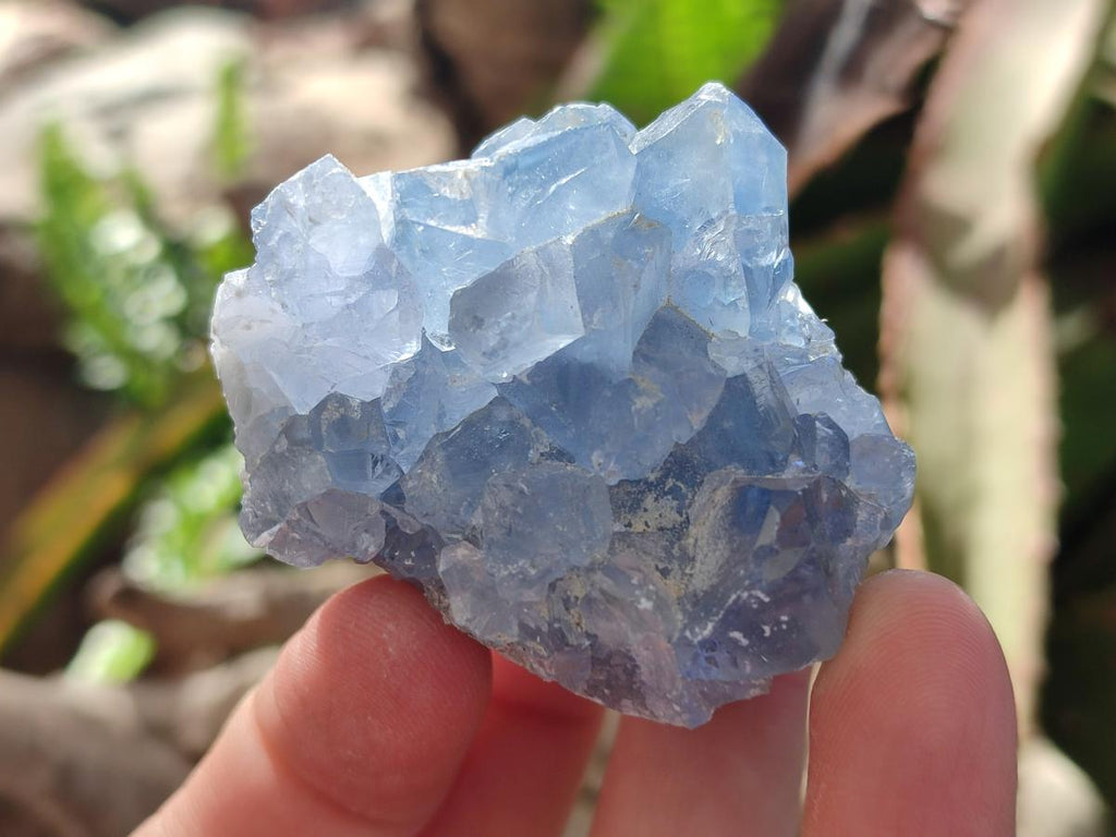 Natural Mini Blue Celestite Specimens x 4,2 Kg Lot From Sakoany, Madagascar - Toprock Gemstones and Minerals 
