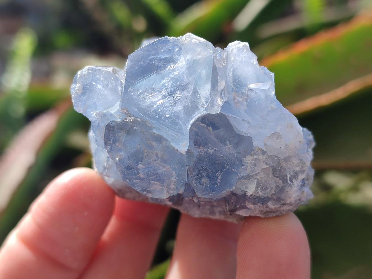 Natural Mini Blue Celestite Specimens x 4,2 Kg Lot From Sakoany, Madagascar - Toprock Gemstones and Minerals 