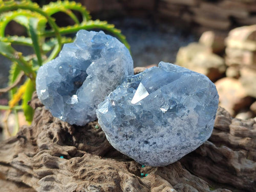 Natural Mini Blue Celestite Specimens x 4,2 Kg Lot From Sakoany, Madagascar - Toprock Gemstones and Minerals 