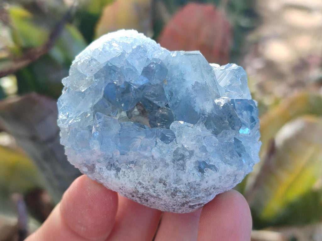 Natural Mini Blue Celestite Specimens x 4,2 Kg Lot From Sakoany, Madagascar - Toprock Gemstones and Minerals 