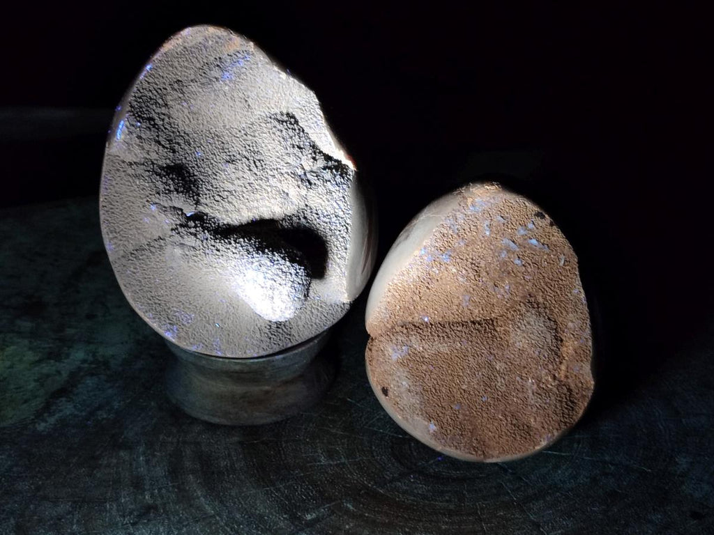 Polished and Natural Small Septerye Sauvage "Dragons Egg" Geode x 2 From Mahajanga, Madagascar - Toprock Gemstones and Minerals 