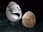 Polished and Natural Small Septerye Sauvage "Dragons Egg" Geode x 2 From Mahajanga, Madagascar - Toprock Gemstones and Minerals 
