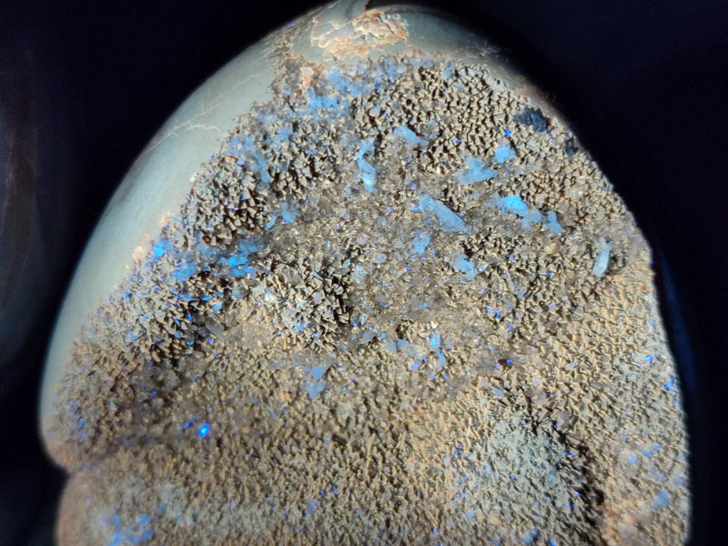 Polished and Natural Small Septerye Sauvage "Dragons Egg" Geode x 2 From Mahajanga, Madagascar - Toprock Gemstones and Minerals 