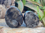 Polished and Natural Small Septerye Sauvage "Dragons Egg" Geode x 2 From Mahajanga, Madagascar - Toprock Gemstones and Minerals 