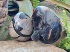 Polished and Natural Small Septerye Sauvage "Dragons Egg" Geode x 2 From Mahajanga, Madagascar - Toprock Gemstones and Minerals 