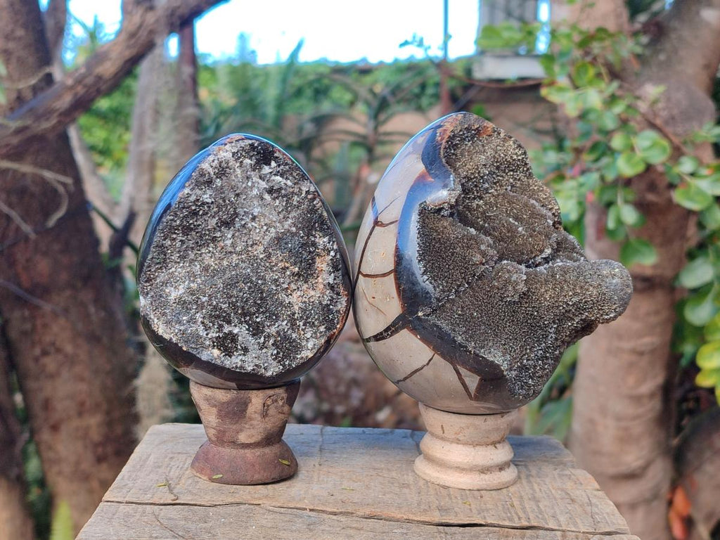 Polished and Natural Small Septerye Sauvage "Dragons Egg" Geode x 2 From Mahajanga, Madagascar - Toprock Gemstones and Minerals 