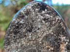 Polished and Natural Small Septerye Sauvage "Dragons Egg" Geode x 2 From Mahajanga, Madagascar - Toprock Gemstones and Minerals 