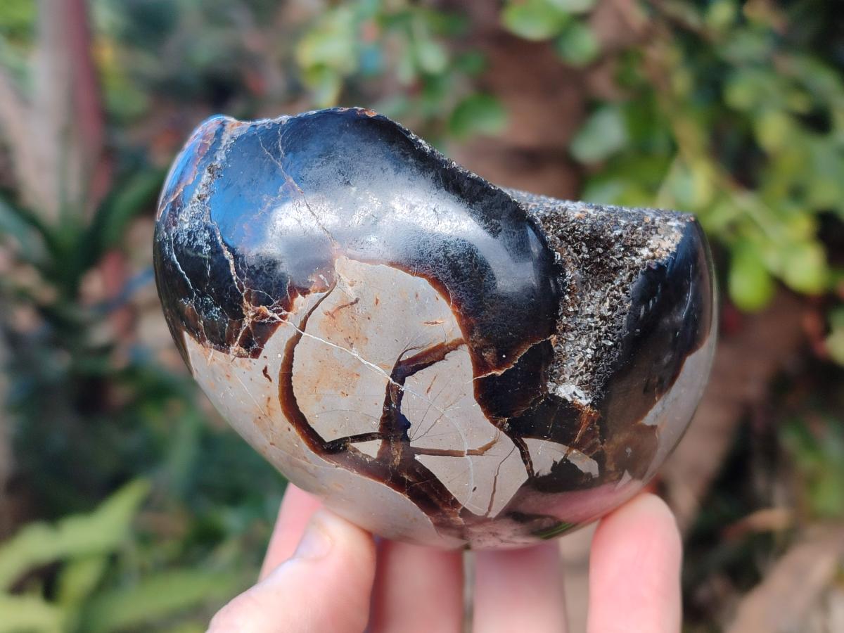 Polished and Natural Small Septerye Sauvage "Dragons Egg" Geode x 2 From Mahajanga, Madagascar - Toprock Gemstones and Minerals 