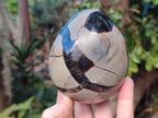 Polished and Natural Small Septerye Sauvage "Dragons Egg" Geode x 2 From Mahajanga, Madagascar - Toprock Gemstones and Minerals 