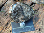 Polished and Natural Small Septerye Sauvage "Dragons Egg" Geode x 2 From Mahajanga, Madagascar - Toprock Gemstones and Minerals 