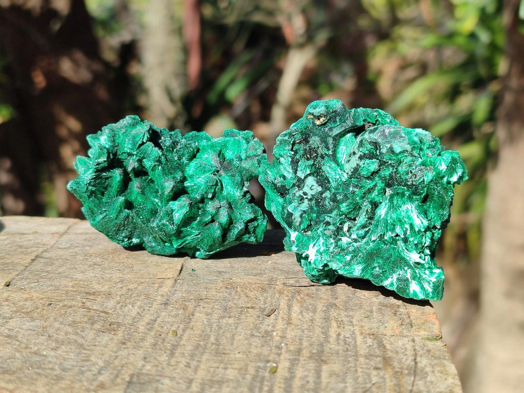 Natural Silky Malachite Specimens x 18 From Kasompe, Congo - Toprock Gemstones and Minerals 