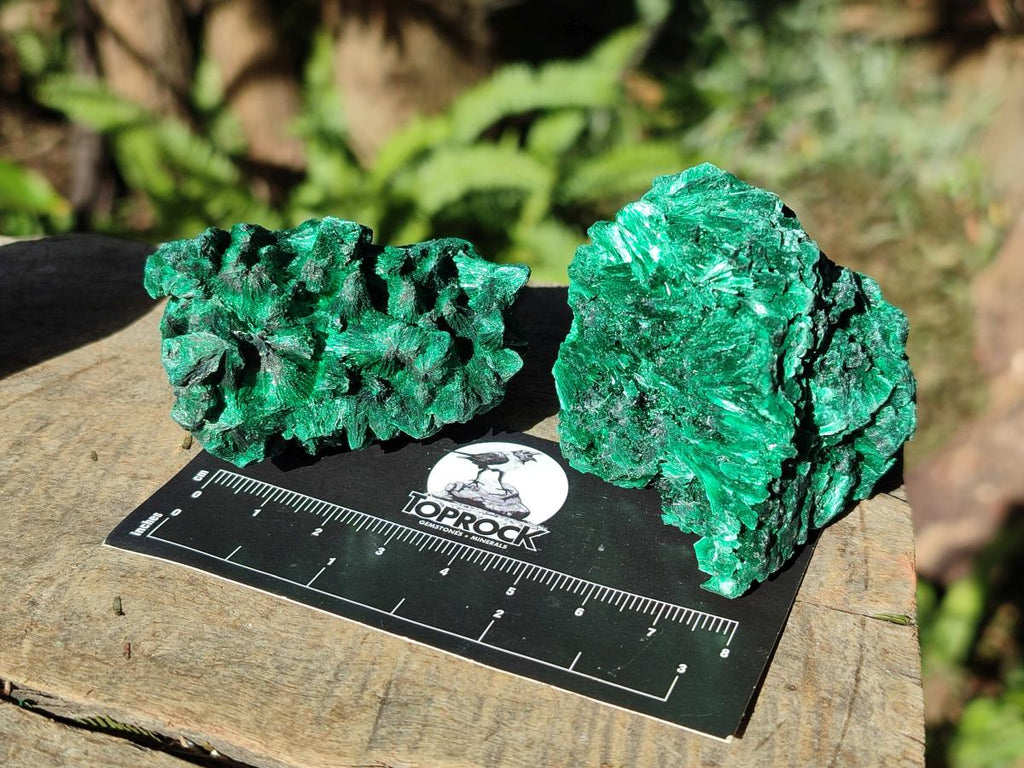 Natural Silky Malachite Specimens x 18 From Kasompe, Congo - Toprock Gemstones and Minerals 