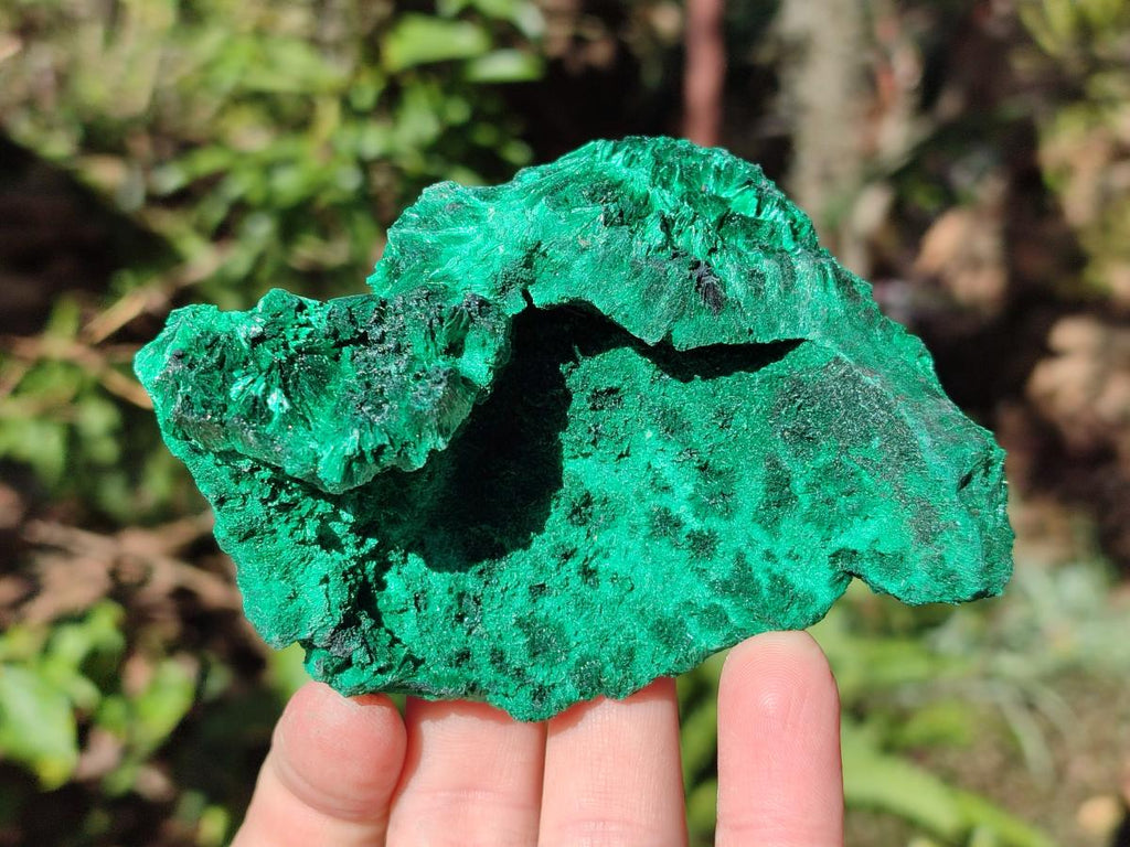 Natural Silky Malachite Specimens x 18 From Kasompe, Congo - Toprock Gemstones and Minerals 