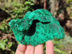 Natural Silky Malachite Specimens x 18 From Kasompe, Congo - Toprock Gemstones and Minerals 