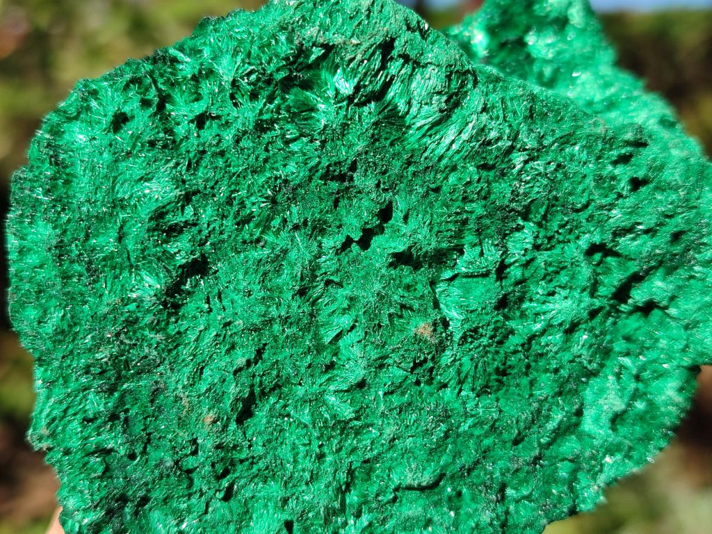 Natural Silky Malachite Specimens x 18 From Kasompe, Congo - Toprock Gemstones and Minerals 