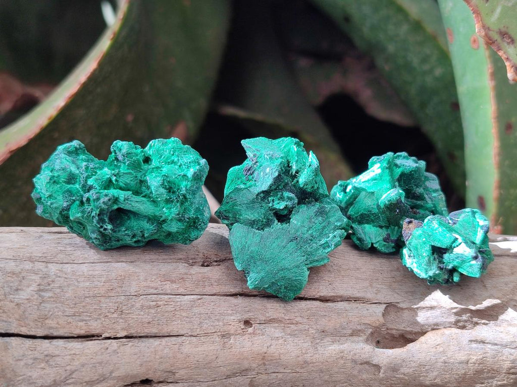 Natural Silky Malachite Specimens x 18 From Kasompe, Congo - Toprock Gemstones and Minerals 