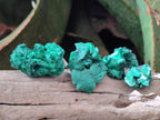 Natural Silky Malachite Specimens x 18 From Kasompe, Congo - Toprock Gemstones and Minerals 