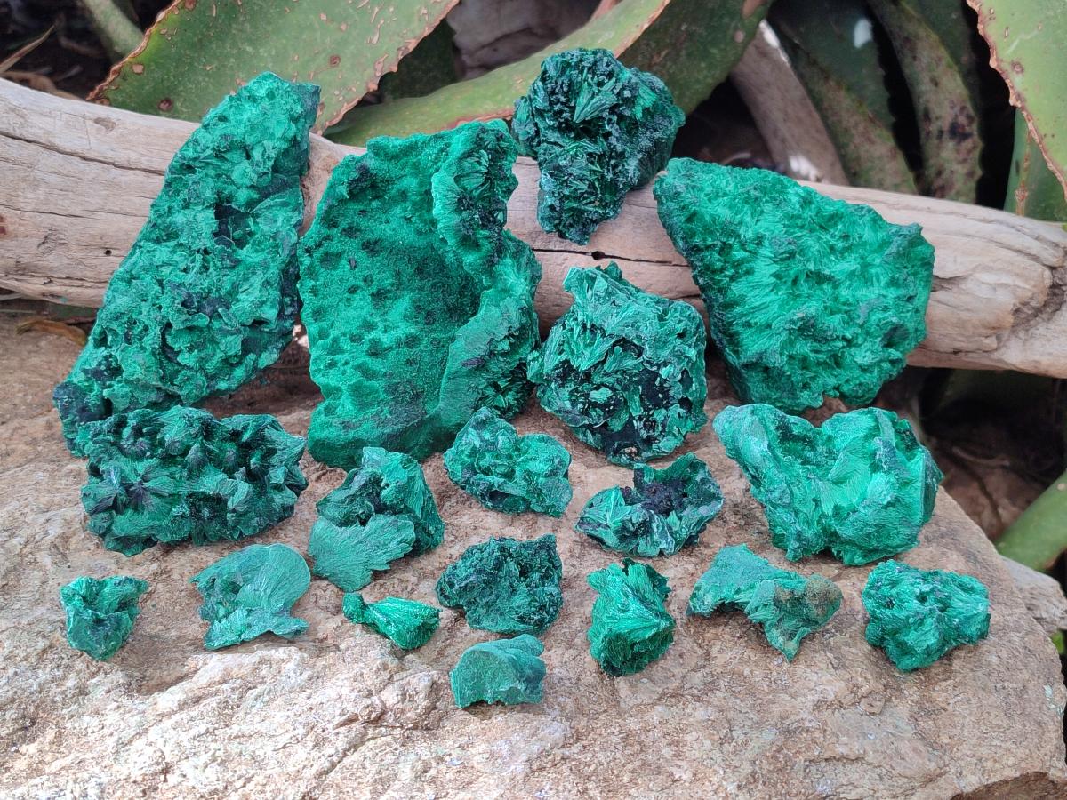 Natural Silky Malachite Specimens x 18 From Kasompe, Congo - Toprock Gemstones and Minerals 