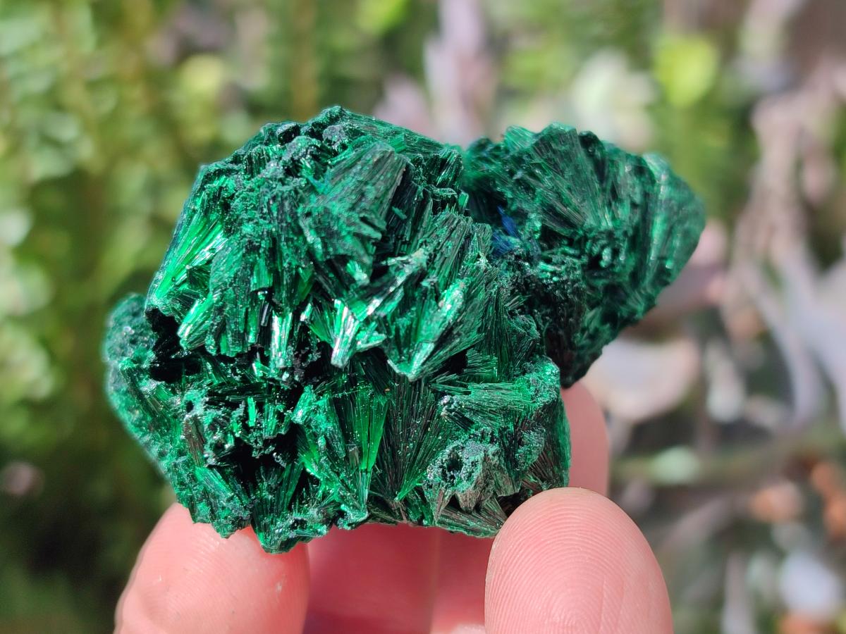 Natural Silky Malachite Specimens x 18 From Kasompe, Congo - Toprock Gemstones and Minerals 