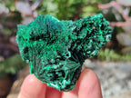 Natural Silky Malachite Specimens x 18 From Kasompe, Congo - Toprock Gemstones and Minerals 