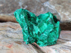 Natural Silky Malachite Specimens x 18 From Kasompe, Congo - Toprock Gemstones and Minerals 