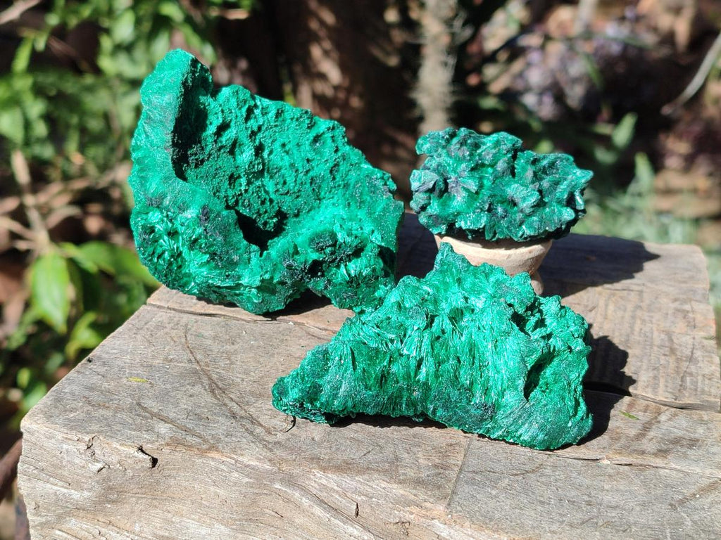 Natural Silky Malachite Specimens x 18 From Kasompe, Congo - Toprock Gemstones and Minerals 