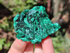 Natural Silky Malachite Specimens x 18 From Kasompe, Congo - Toprock Gemstones and Minerals 