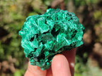 Natural Silky Malachite Specimens x 18 From Kasompe, Congo - Toprock Gemstones and Minerals 