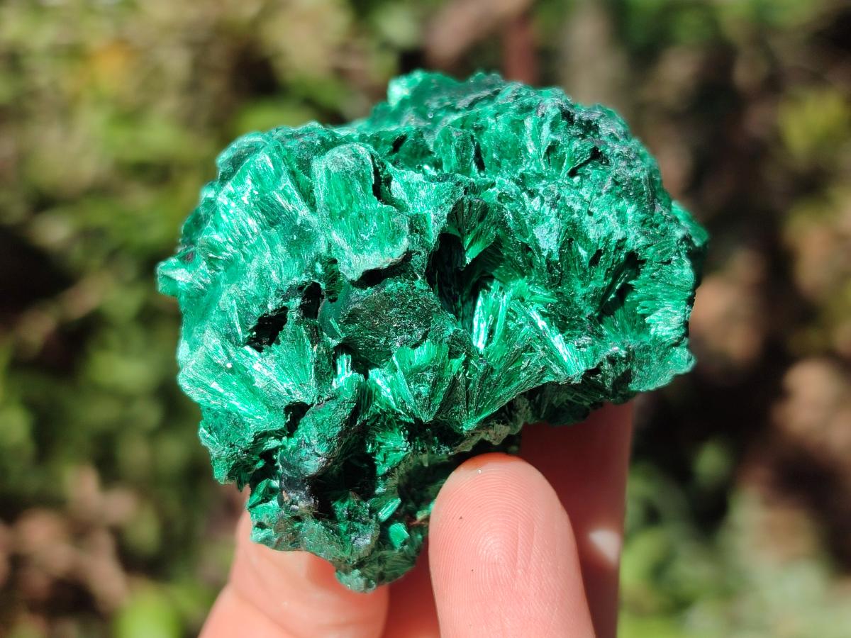 Natural Silky Malachite Specimens x 18 From Kasompe, Congo - Toprock Gemstones and Minerals 