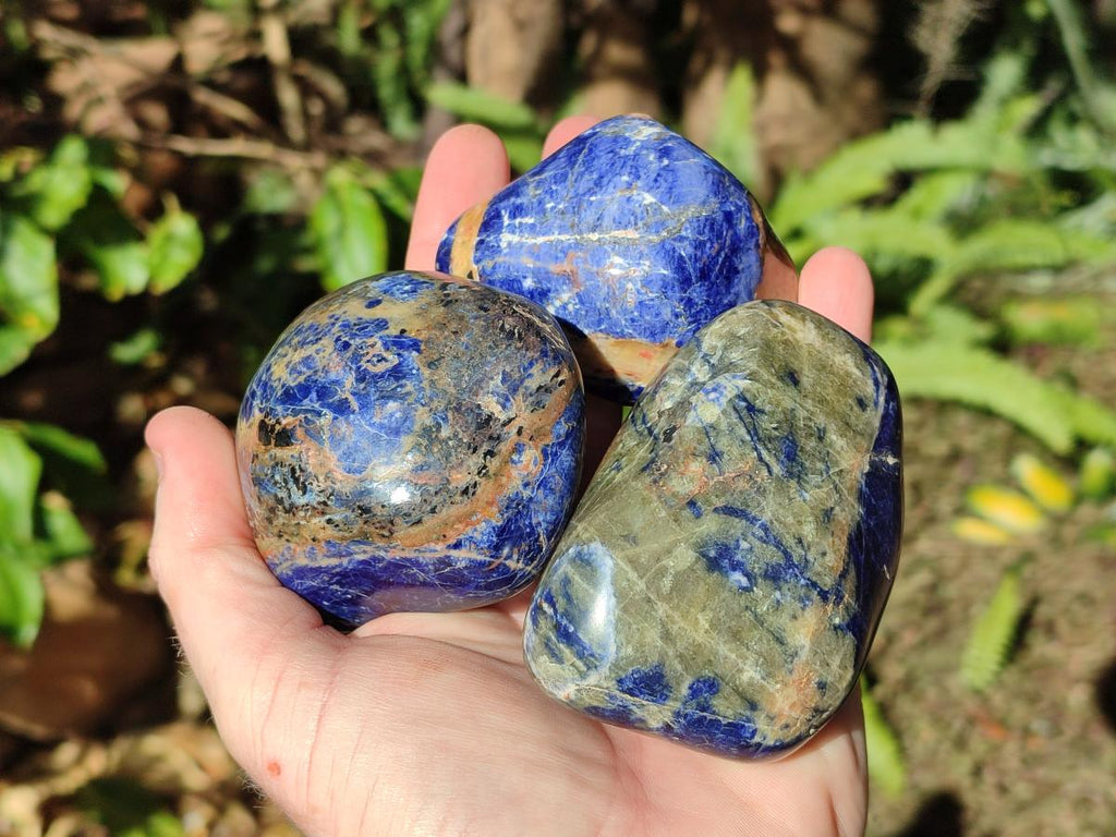 Polished Sodalite Free Forms x 6 From Kunene River, Namibia - Toprock Gemstones and Minerals 