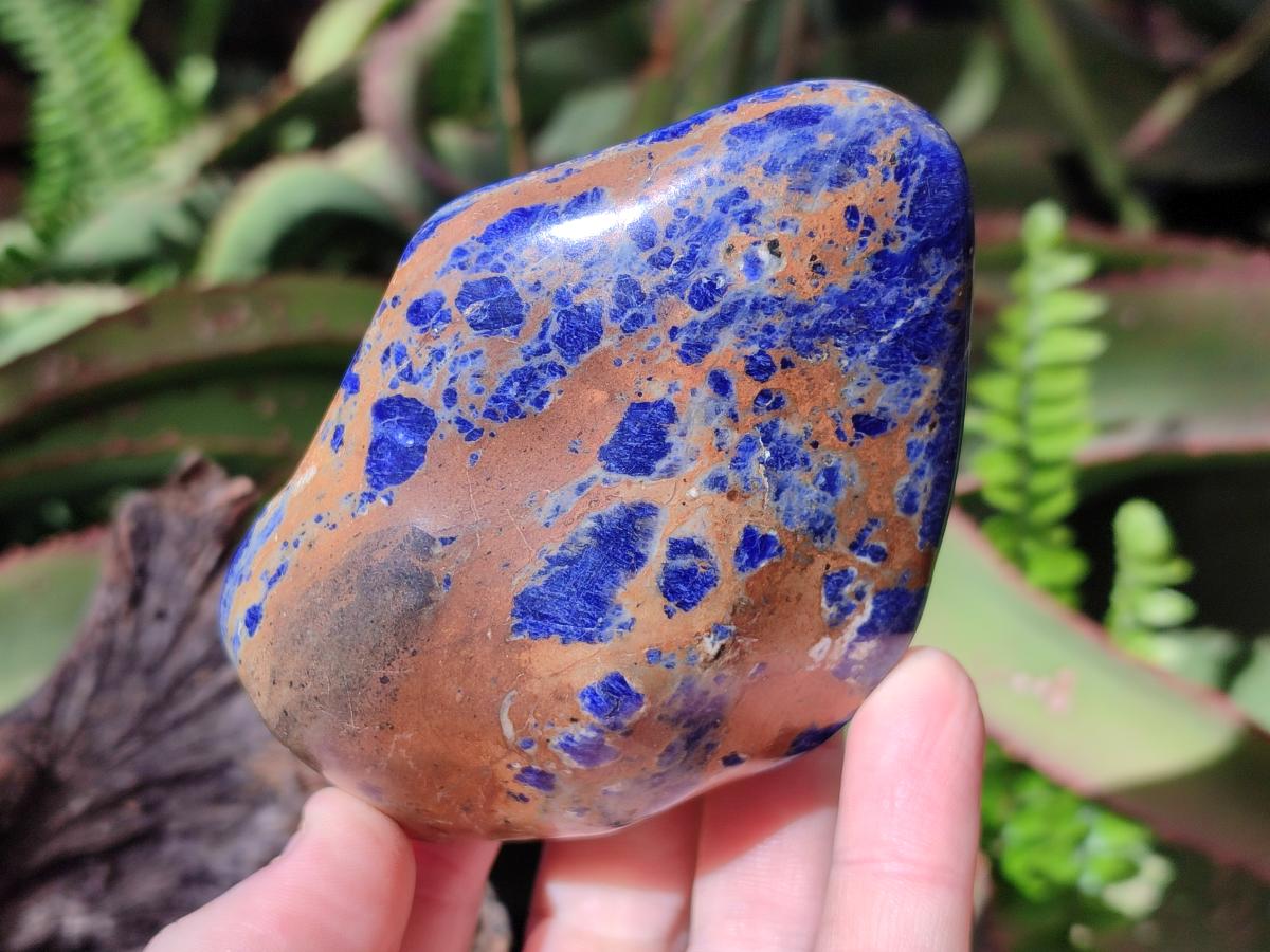 Polished Sodalite Free Forms x 6 From Kunene River, Namibia - Toprock Gemstones and Minerals 