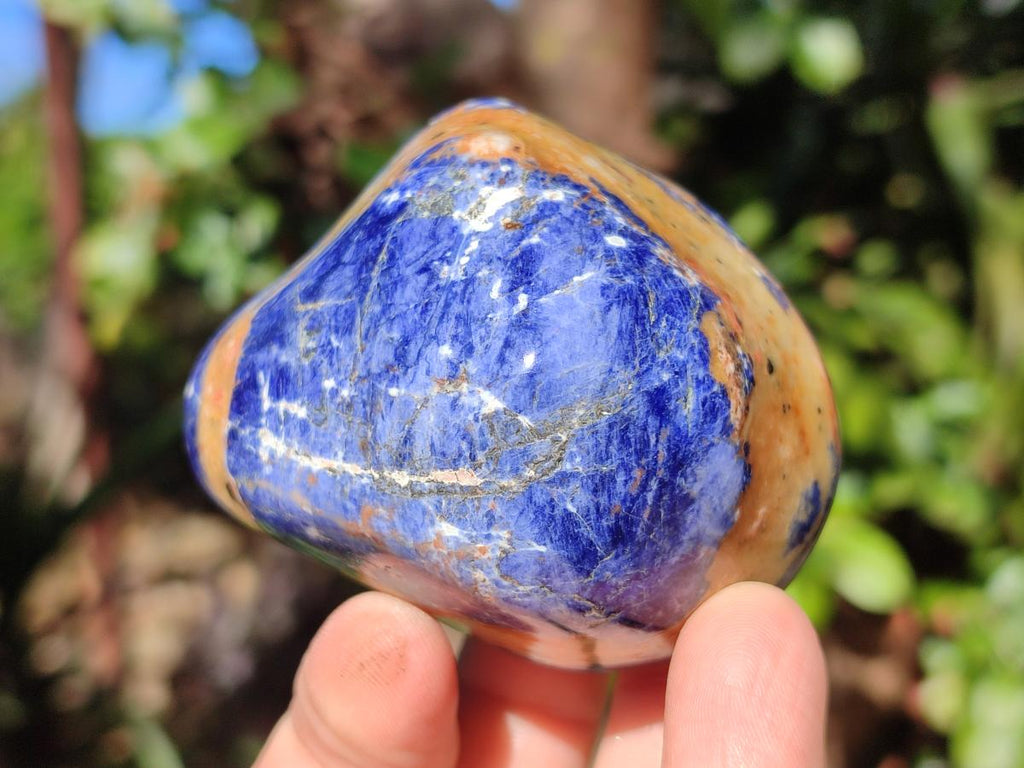 Polished Sodalite Free Forms x 6 From Kunene River, Namibia - Toprock Gemstones and Minerals 