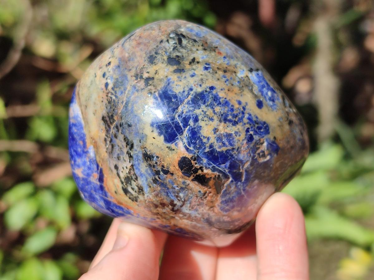 Polished Sodalite Free Forms x 6 From Kunene River, Namibia - Toprock Gemstones and Minerals 