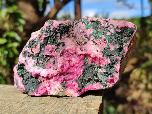 Natural Salrose Cobaltoan Dolomite Specimens with Malachite and Heterogenite x 2 From Kakanda, Congo - Toprock Gemstones and Minerals 