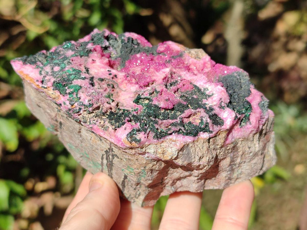 Natural Salrose Cobaltoan Dolomite Specimens with Malachite and Heterogenite x 2 From Kakanda, Congo - Toprock Gemstones and Minerals 