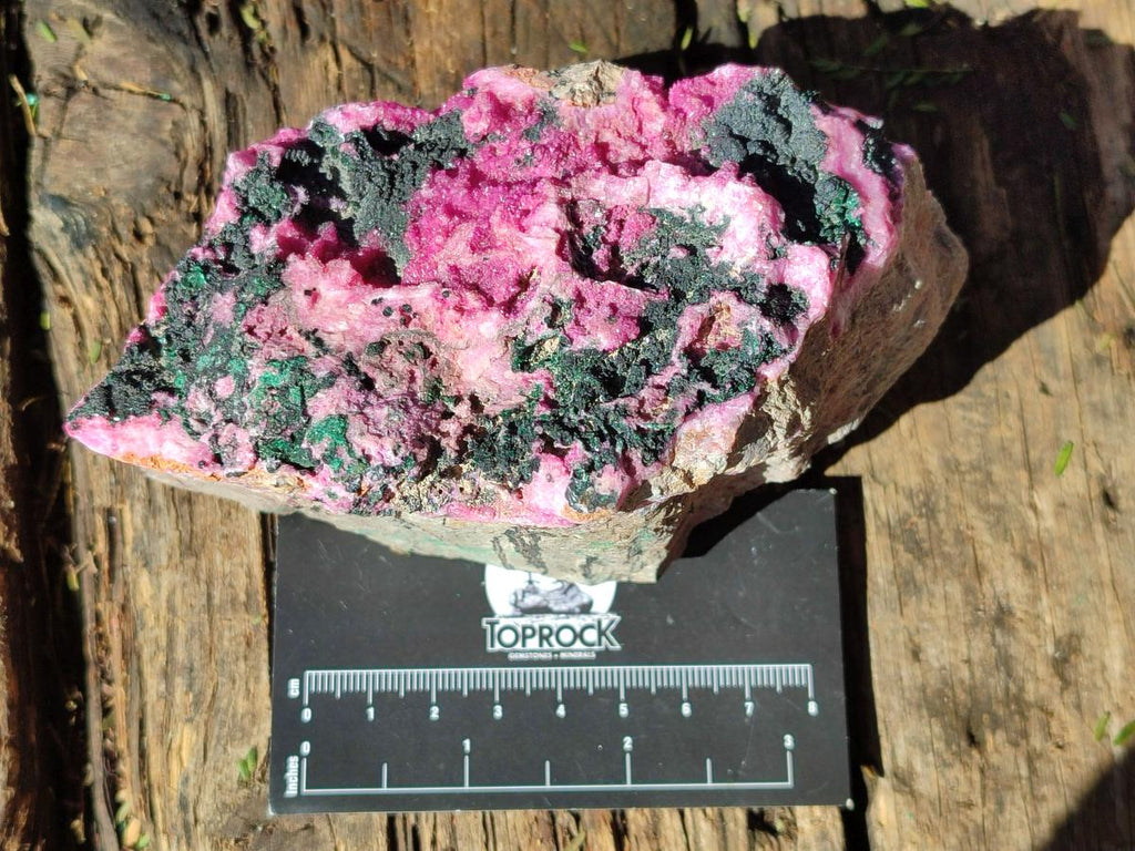 Natural Salrose Cobaltoan Dolomite Specimens with Malachite and Heterogenite x 2 From Kakanda, Congo - Toprock Gemstones and Minerals 