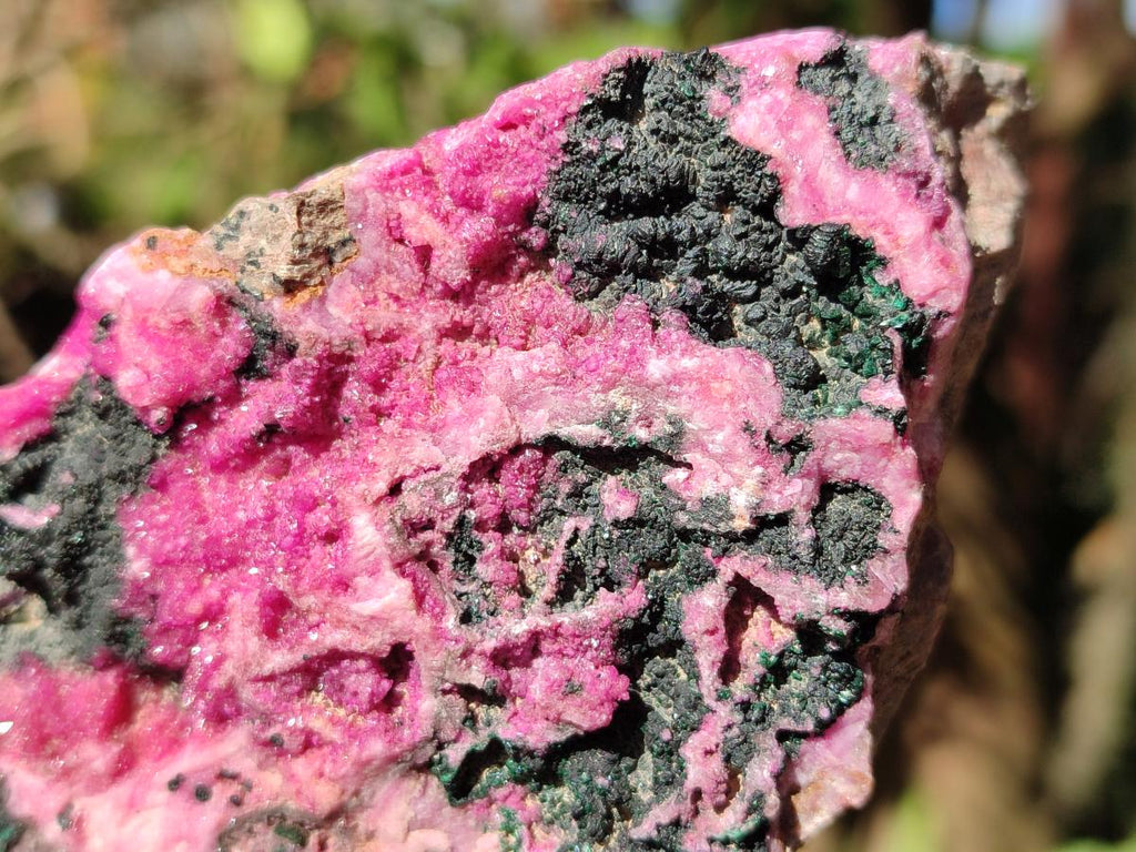 Natural Salrose Cobaltoan Dolomite Specimens with Malachite and Heterogenite x 2 From Kakanda, Congo - Toprock Gemstones and Minerals 