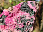 Natural Salrose Cobaltoan Dolomite Specimens with Malachite and Heterogenite x 2 From Kakanda, Congo - Toprock Gemstones and Minerals 