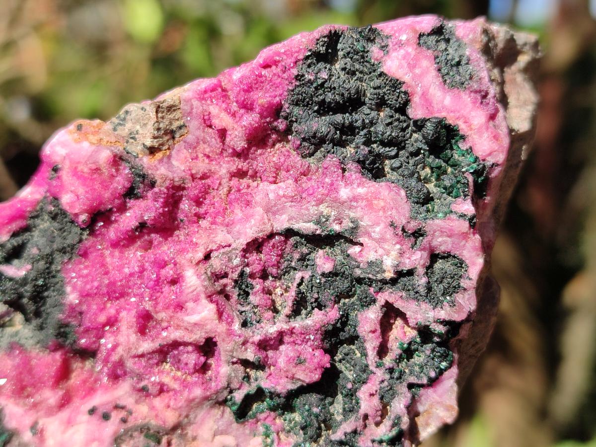 Natural Salrose Cobaltoan Dolomite Specimens with Malachite and Heterogenite x 2 From Kakanda, Congo - Toprock Gemstones and Minerals 