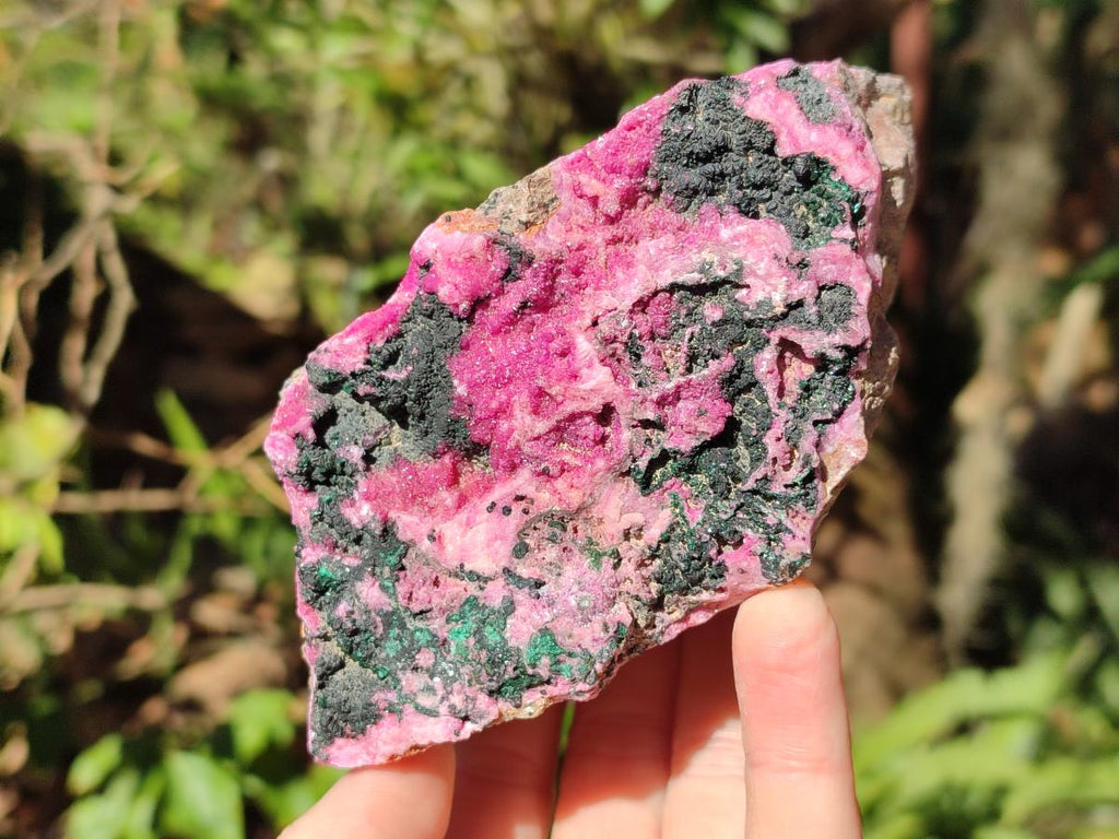 Natural Salrose Cobaltoan Dolomite Specimens with Malachite and Heterogenite x 2 From Kakanda, Congo - Toprock Gemstones and Minerals 