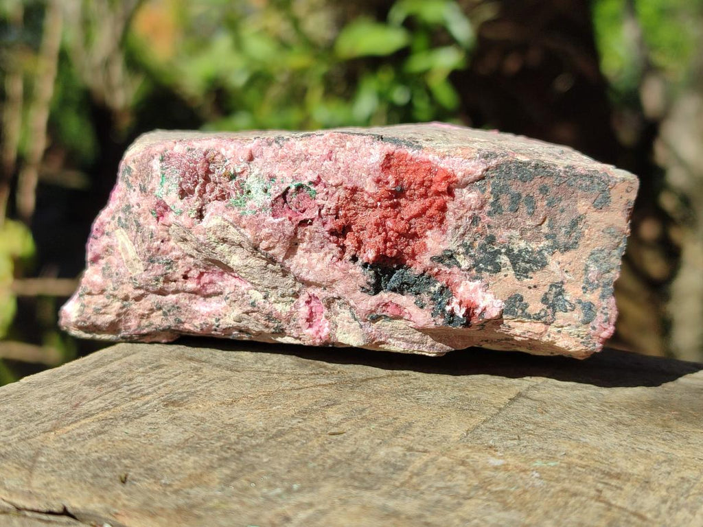 Natural Salrose Cobaltoan Dolomite Specimens with Malachite and Heterogenite x 2 From Kakanda, Congo - Toprock Gemstones and Minerals 