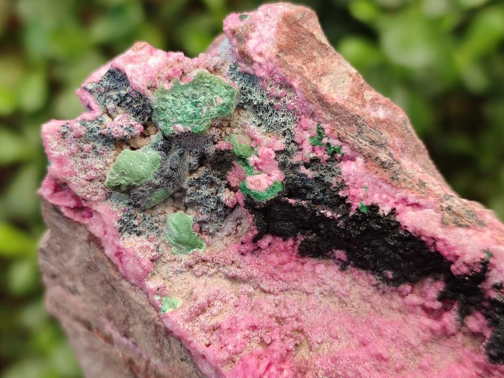 Natural Salrose Cobaltoan Dolomite Specimens with Malachite and Heterogenite x 2 From Kakanda, Congo - Toprock Gemstones and Minerals 