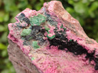 Natural Salrose Cobaltoan Dolomite Specimens with Malachite and Heterogenite x 2 From Kakanda, Congo - Toprock Gemstones and Minerals 