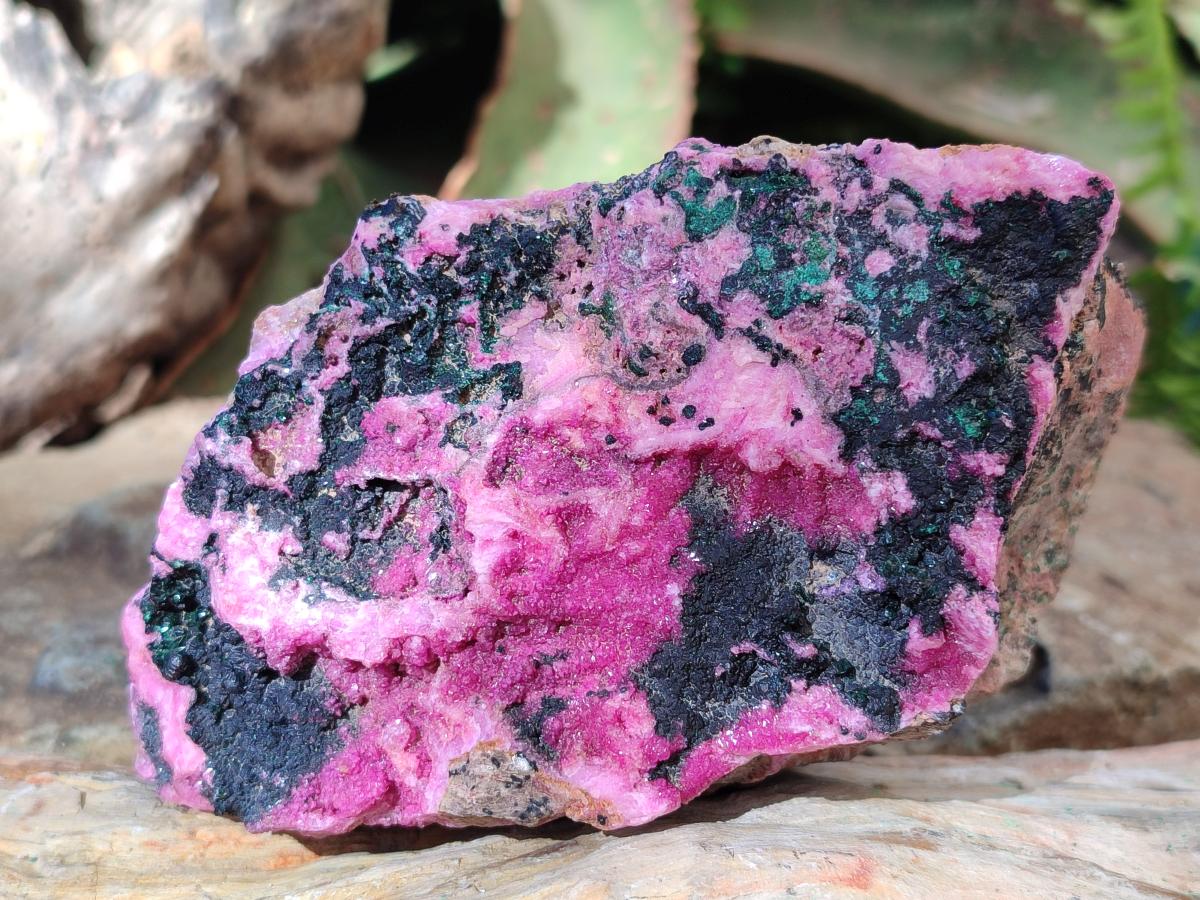 Natural Salrose Cobaltoan Dolomite Specimens with Malachite and Heterogenite x 2 From Kakanda, Congo - Toprock Gemstones and Minerals 