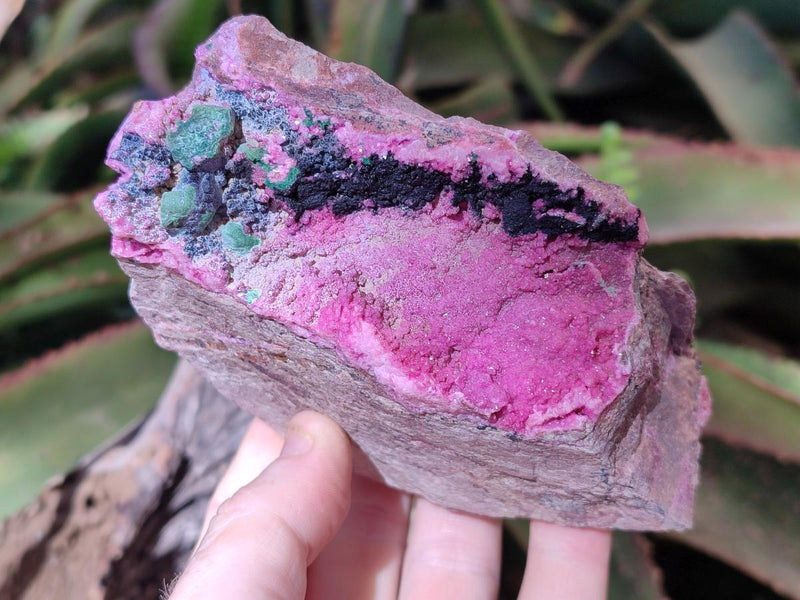 Natural Salrose Cobaltoan Dolomite Specimens with Malachite and Heterogenite x 2 From Kakanda, Congo - Toprock Gemstones and Minerals 