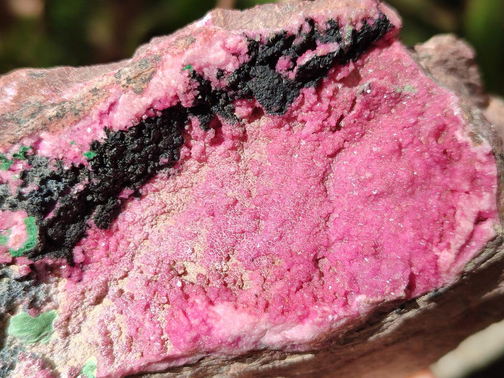 Natural Salrose Cobaltoan Dolomite Specimens with Malachite and Heterogenite x 2 From Kakanda, Congo - Toprock Gemstones and Minerals 