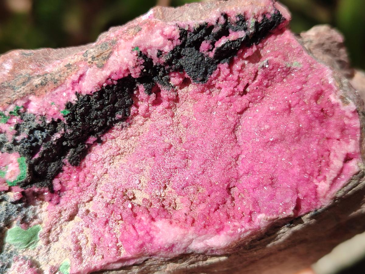 Natural Salrose Cobaltoan Dolomite Specimens with Malachite and Heterogenite x 2 From Kakanda, Congo - Toprock Gemstones and Minerals 
