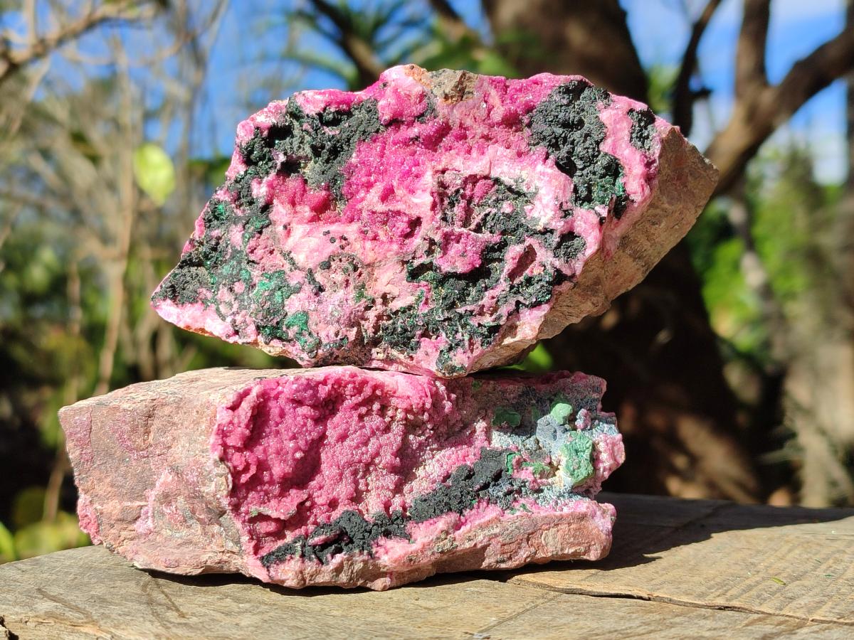 Natural Salrose Cobaltoan Dolomite Specimens with Malachite and Heterogenite x 2 From Kakanda, Congo - Toprock Gemstones and Minerals 