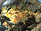 Polished Spectrolite Labradorite Standing Display Pieces x 2 From Madagascar - Toprock Gemstones and Minerals 
