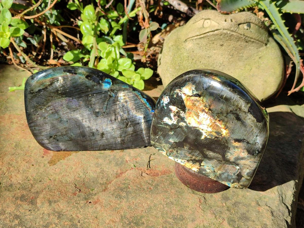 Polished Spectrolite Labradorite Standing Display Pieces x 2 From Madagascar - Toprock Gemstones and Minerals 
